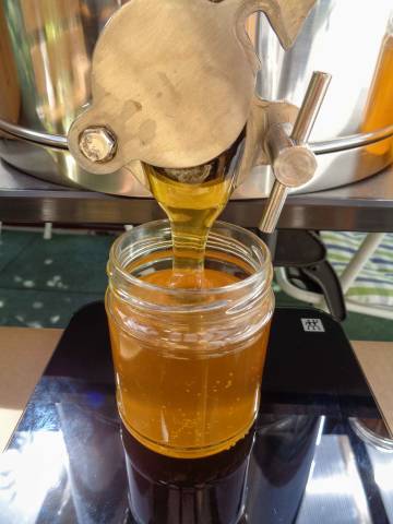 Ein Glas Glarner Berghonig der Imkerei Soolergold wird abgefüllt